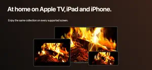Winter Fireplace screenshot 3