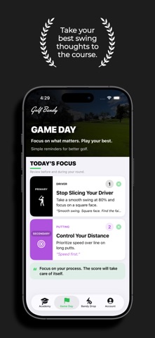Golf Bandy Screenshot 4 of 5