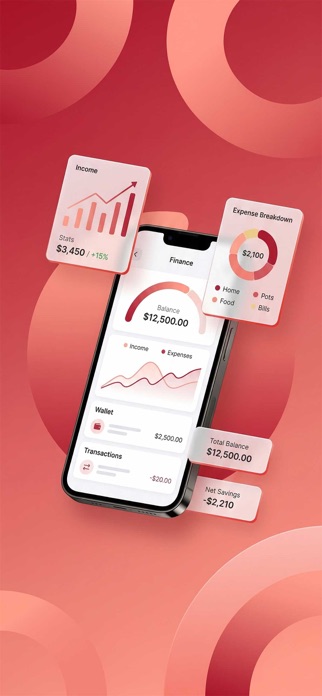 Dragon Money Wise Screenshot 4 of 4