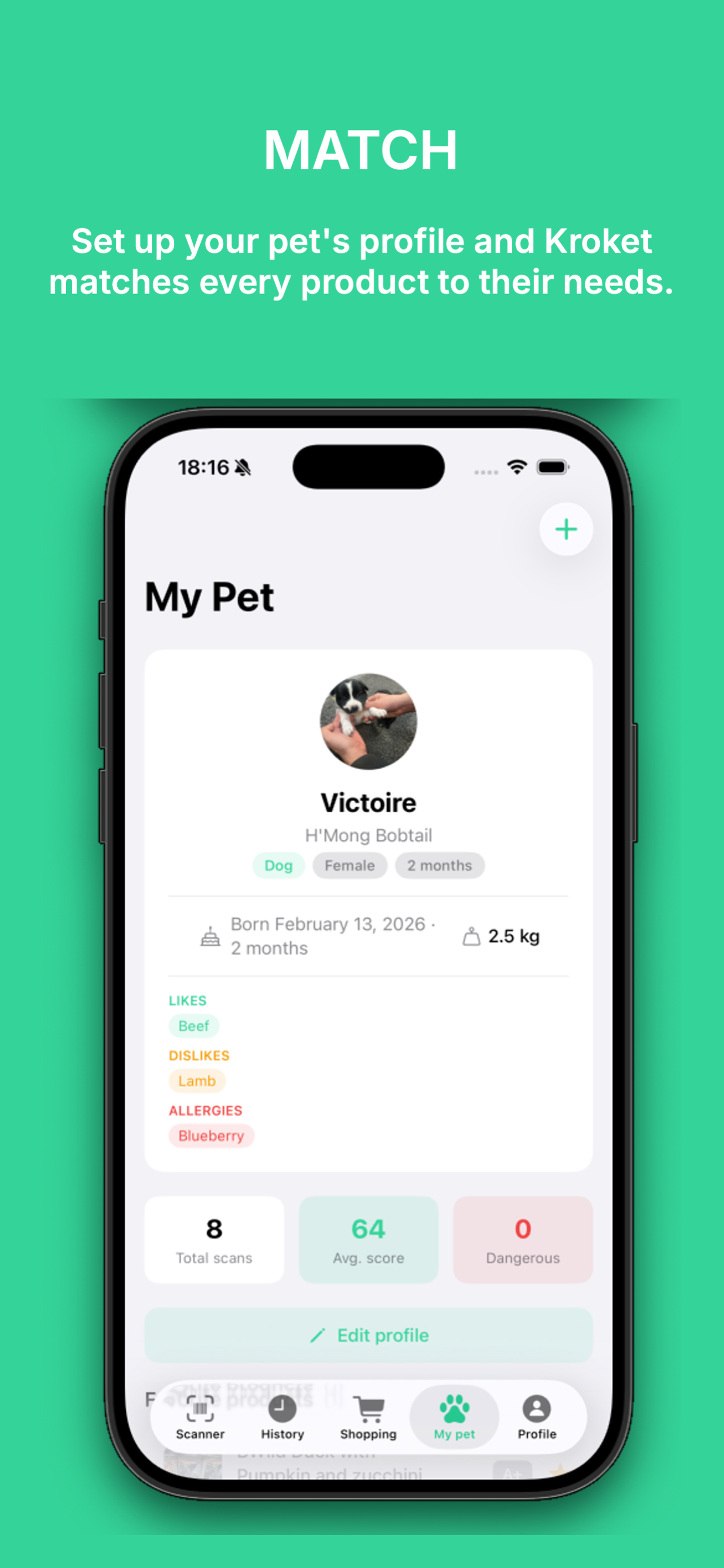 Kroket screenshot 3