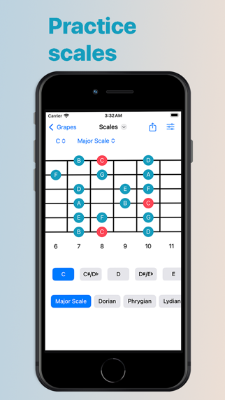 Screenshot #1 pour Grapes - Scales & Chords