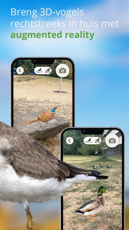 Vogels van Nederland en België screenshot-3
