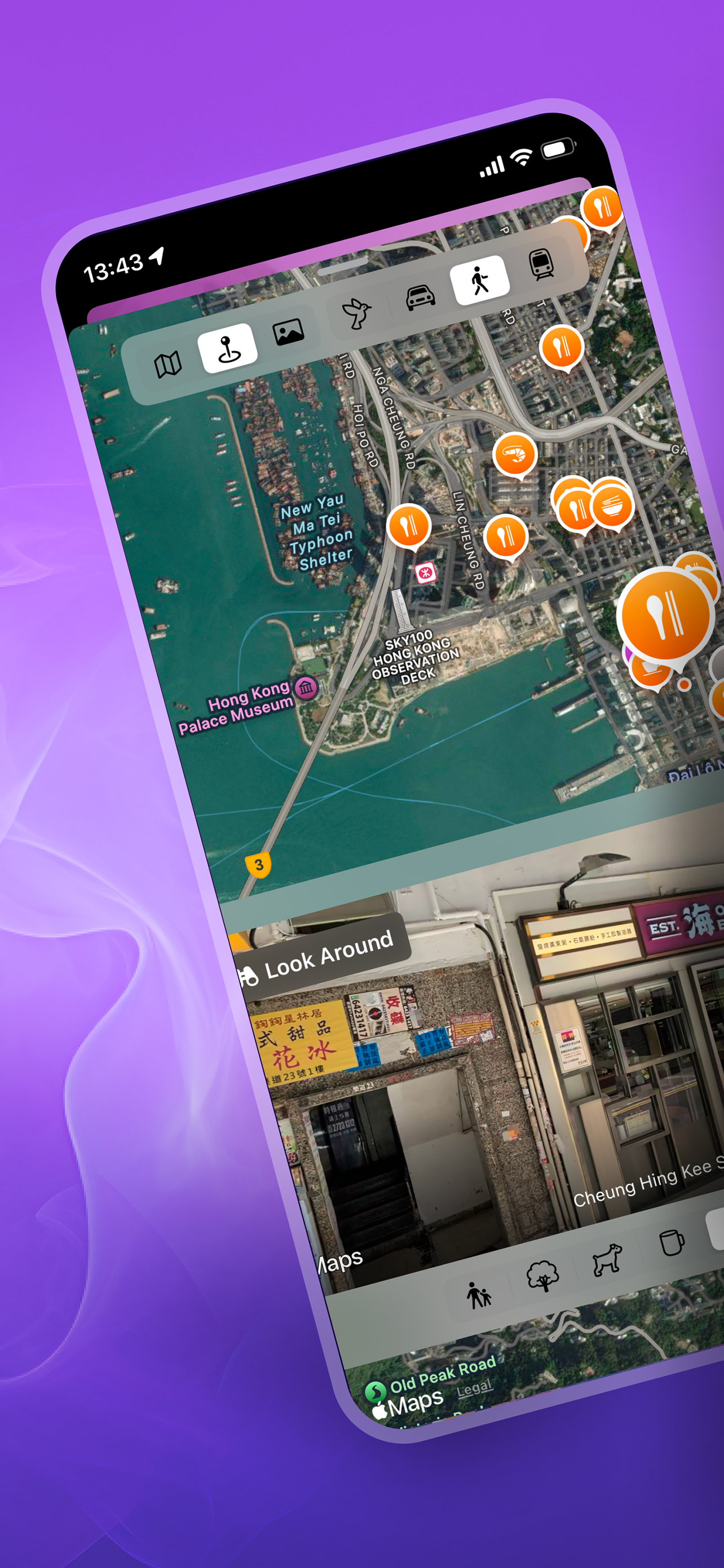 LocaEdit -GPS Location Changer