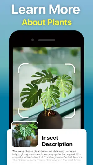 Identify Anything AI Scanner screenshot 3