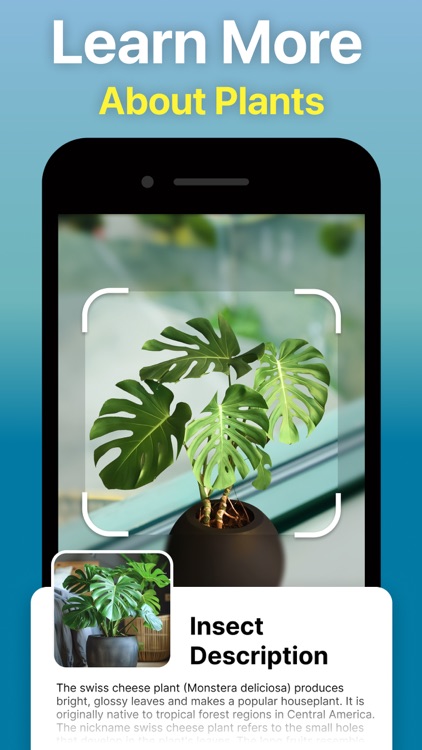 Identify Anything AI Scanner