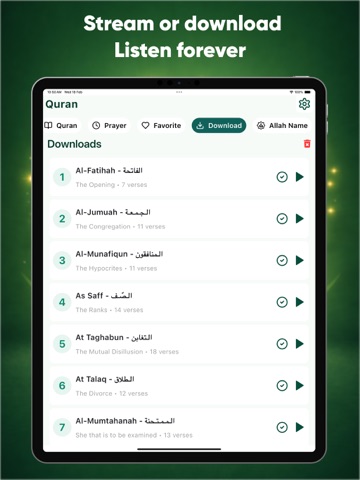 Quran sharif audio - offline iPad screenshot