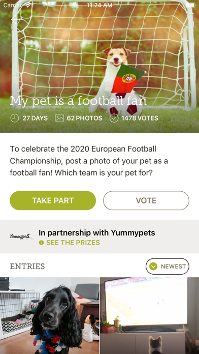 Yummypets - Pets Screenshot