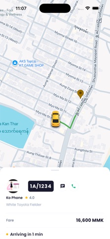 Family Taxi MM screenshot