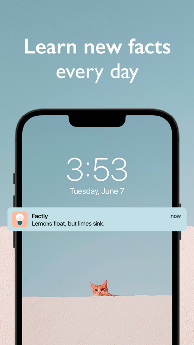 Factly - Learn something new Screenshot