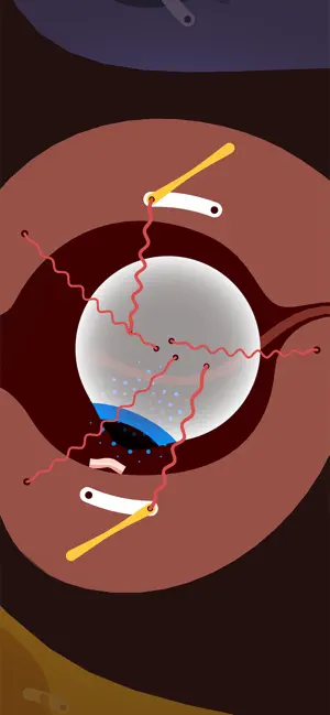 Bacon in Zane screenshot 3