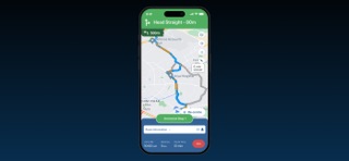 FIFA Drive screenshot