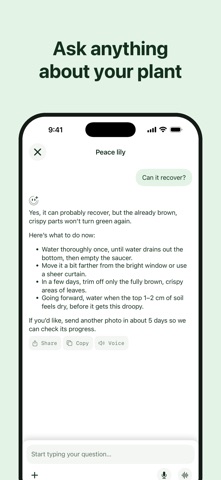 Plant Identifier: Care & Heal screenshot 3
