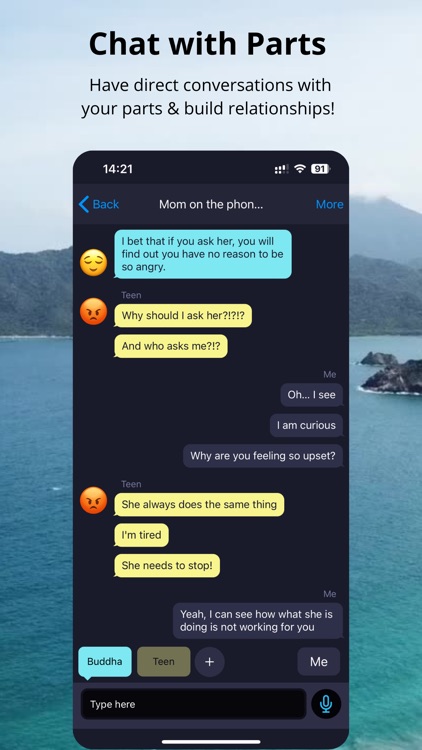 IFS Guide screenshot-6