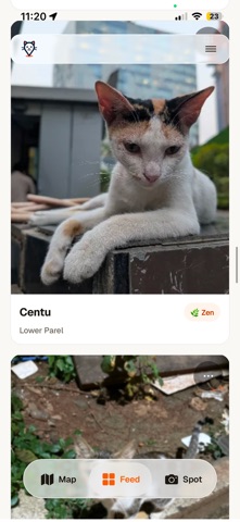 Meowmbai screenshot 4