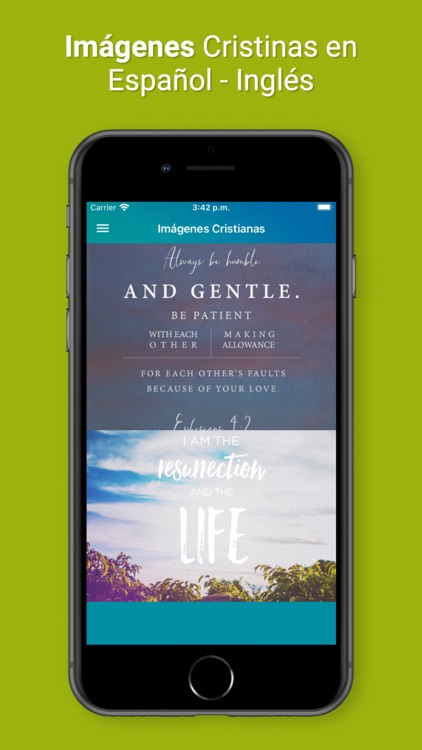 Biblia Bilingüe Español Inglés screenshot-4