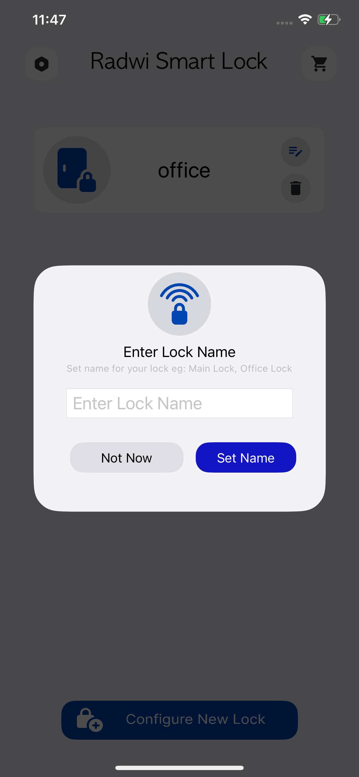 RADWI Smart Door Lock
