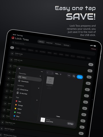 Lock Tess iPad screenshot
