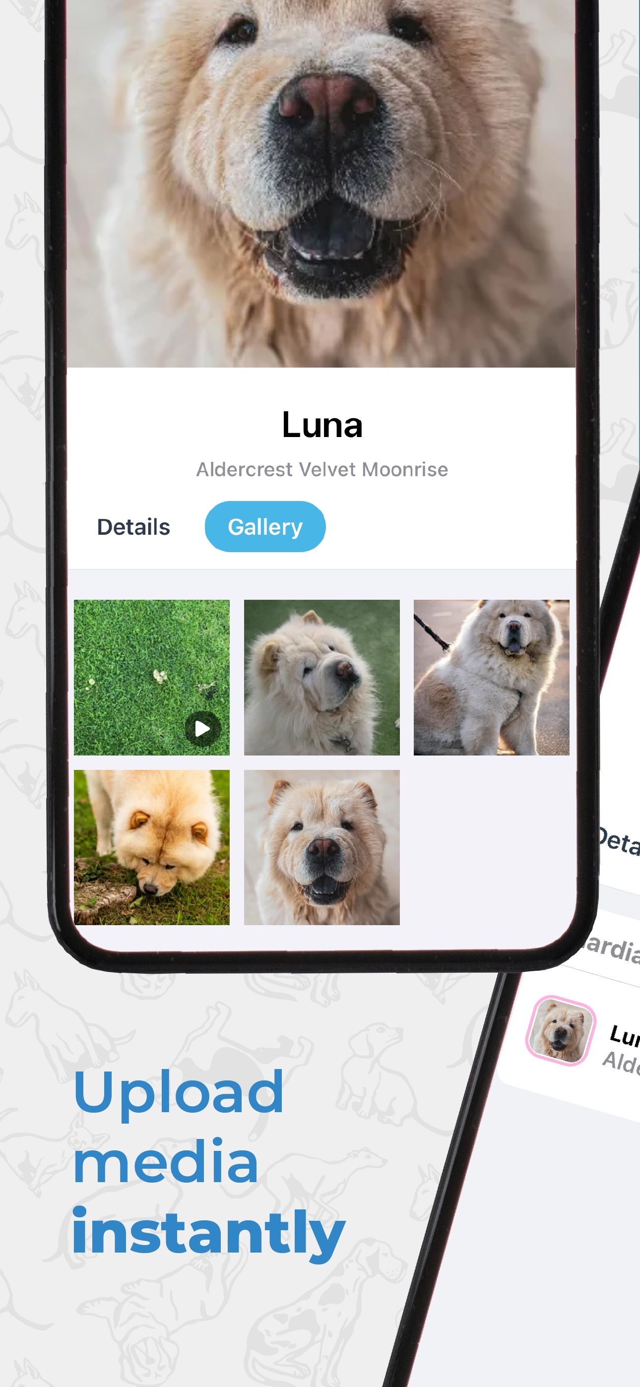 Screenshot 4 of Dog Breeder Pro