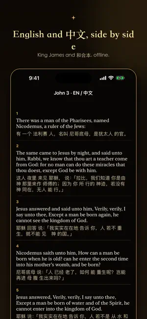 Sojourner: Audio Bible screenshot 4