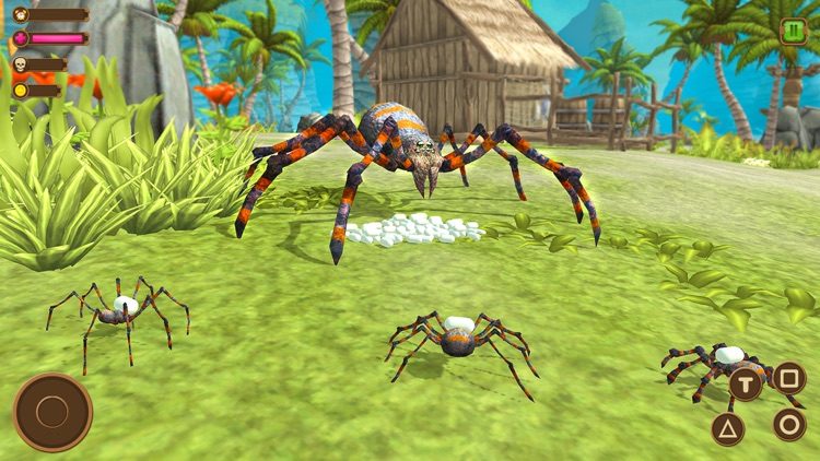 Wild Spider - Insect Simulator screenshot-3