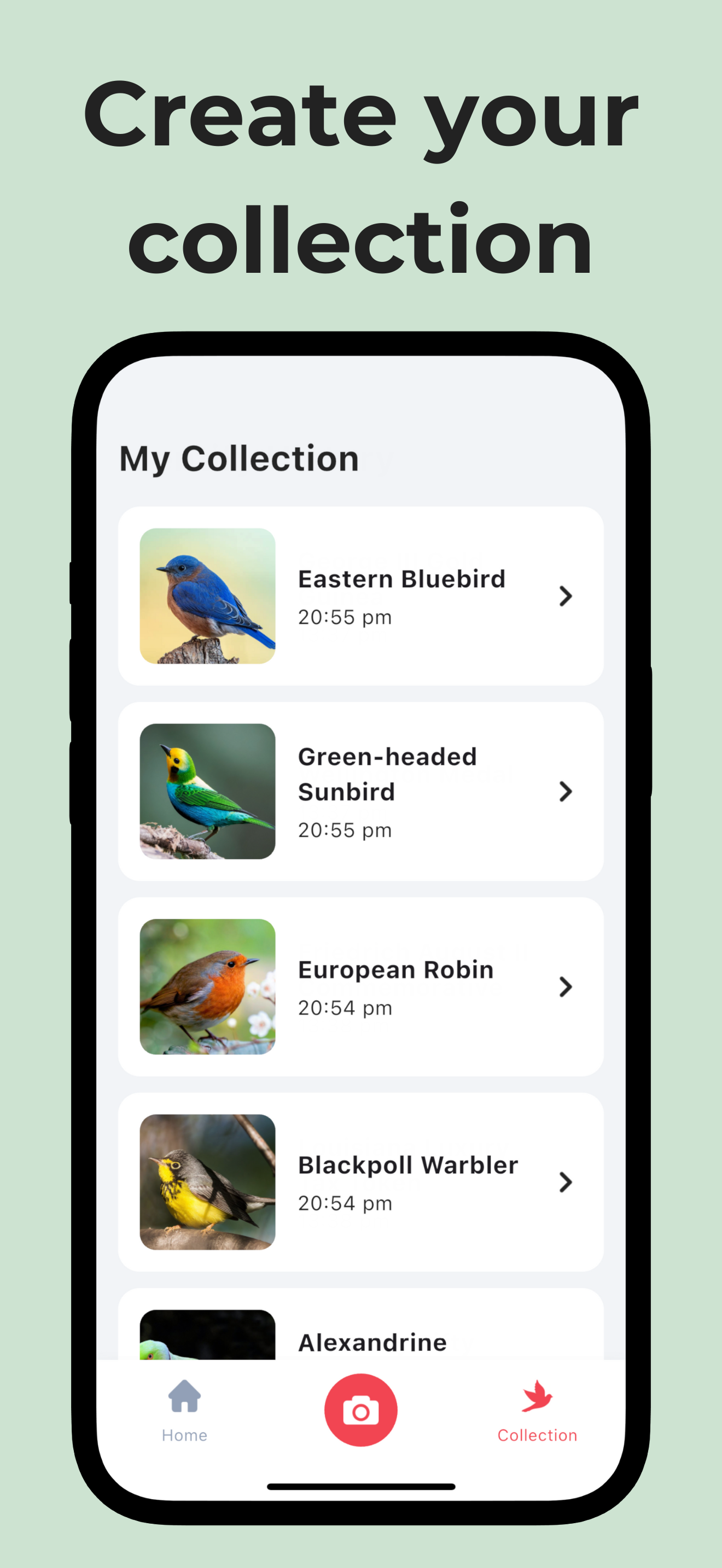 Bird Call Identifier: Featha