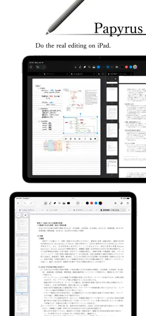 Papyrus - notes, PDF screenshot 4