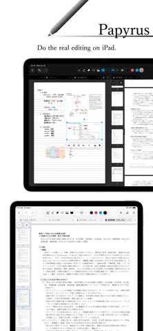 Papyrus - notes, PDF Screenshot 4 of 4