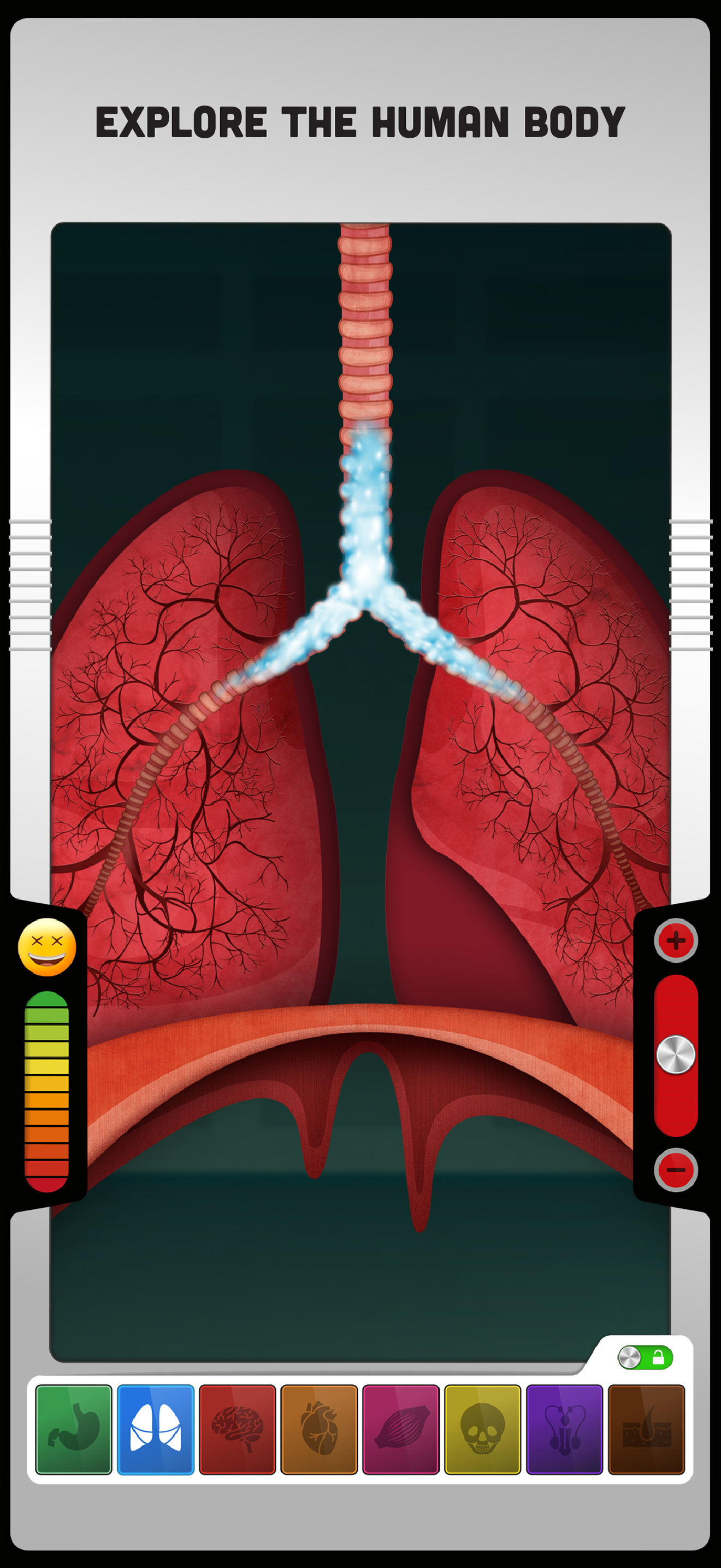 The Human Body: Learn Anatomy