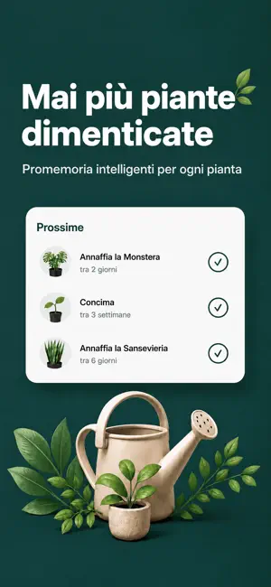 Arbori – Identifica le piante iPhone screenshot 3