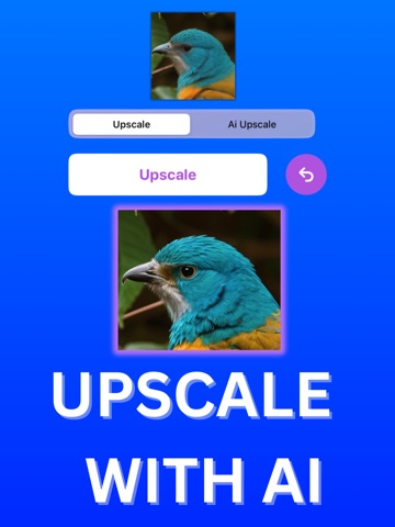Upscale AI: HD Photo Enhancer iPad screenshot