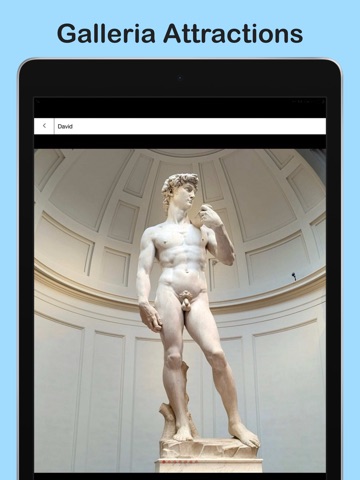 Accademia Galleria Tour Buddy ipad screenshot 2