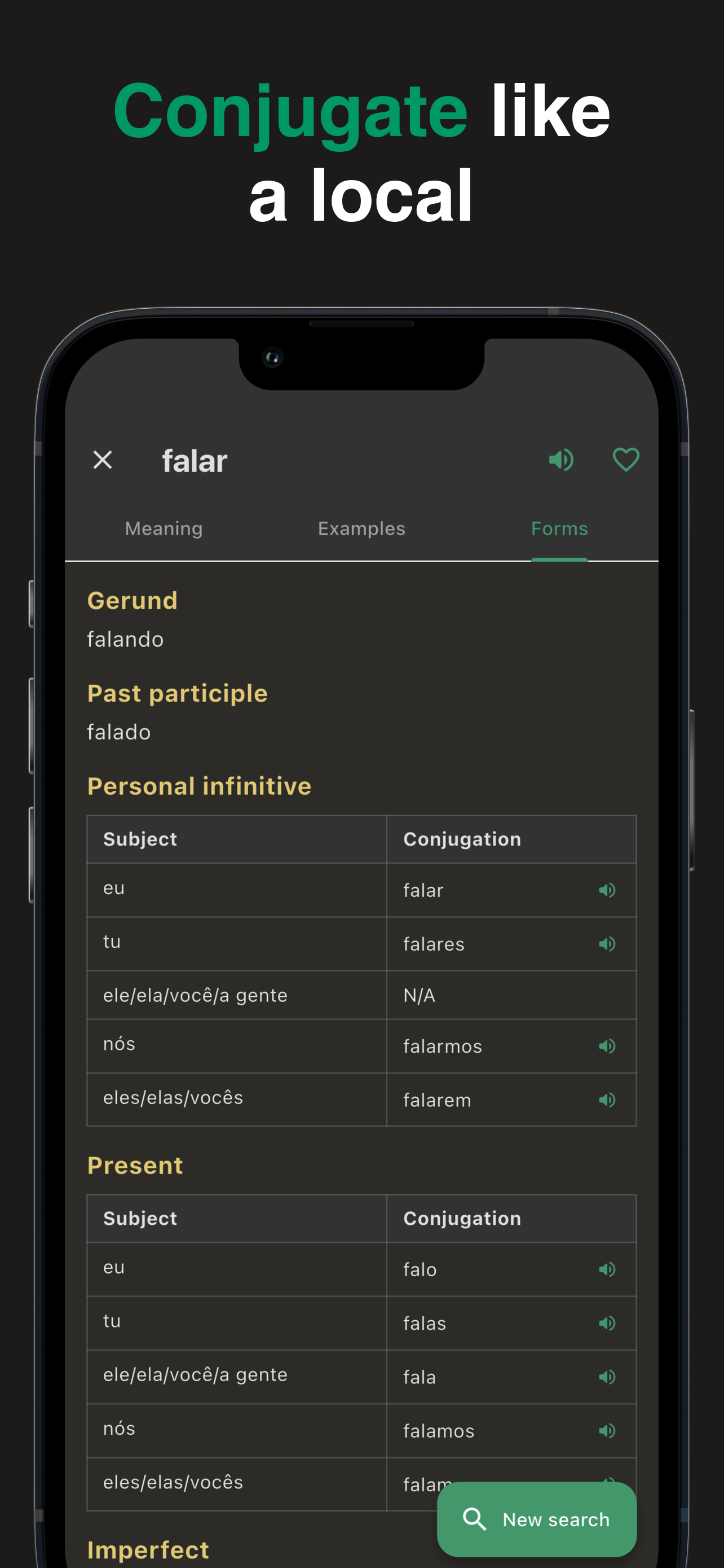 Maputo: Mozambican Dictionary screenshot 2