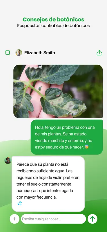 PlantApp – Identifica plantas screenshot 6 of 8