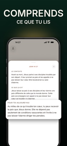 Verseo : Verset du Jour Widget Screenshot 4 of 8