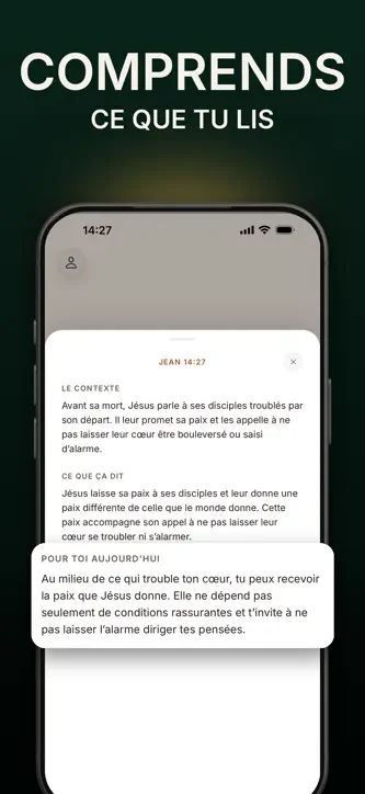 Verseo : Verset du Jour Widget screenshot 4