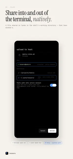 Tessera - SSH Terminal screenshot 2