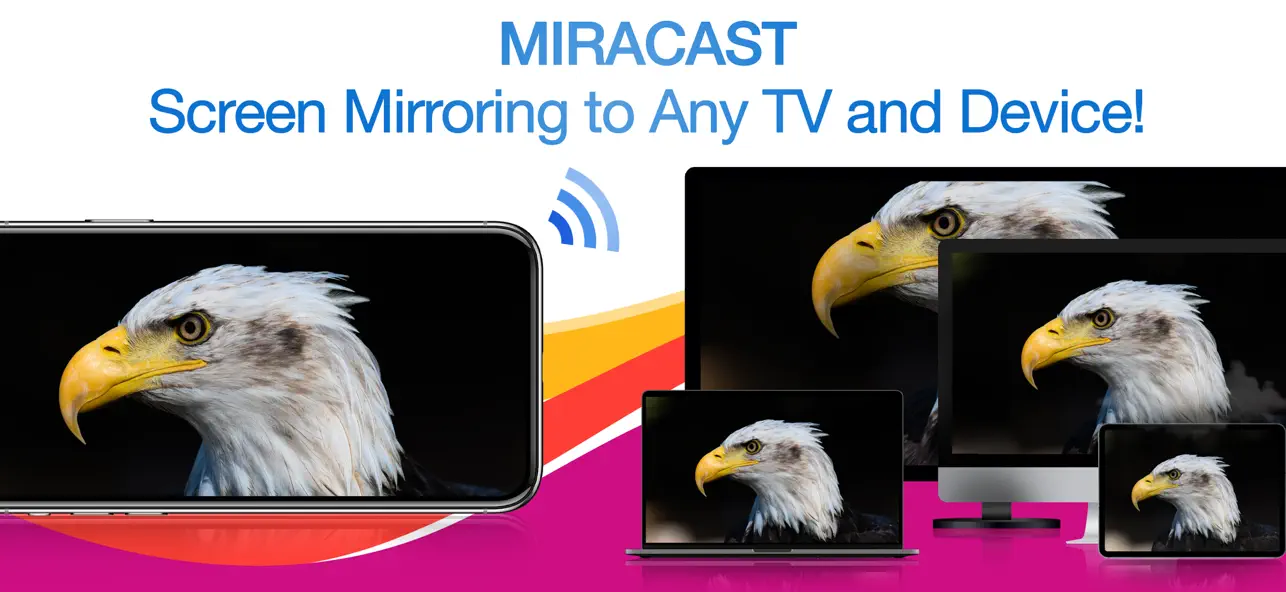 Screenshot #1 pour Miracast + Screen Mirror
