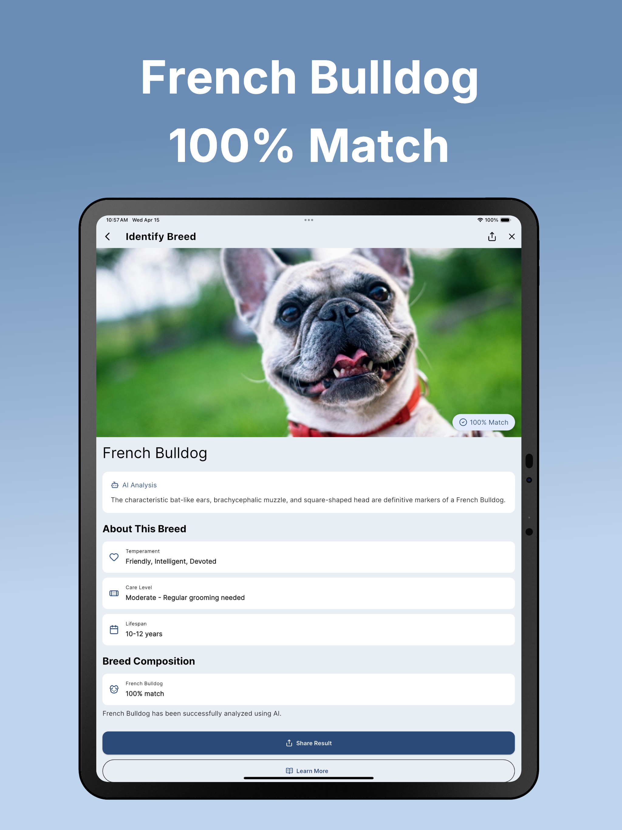 Dog Breed Identifier: DogLens