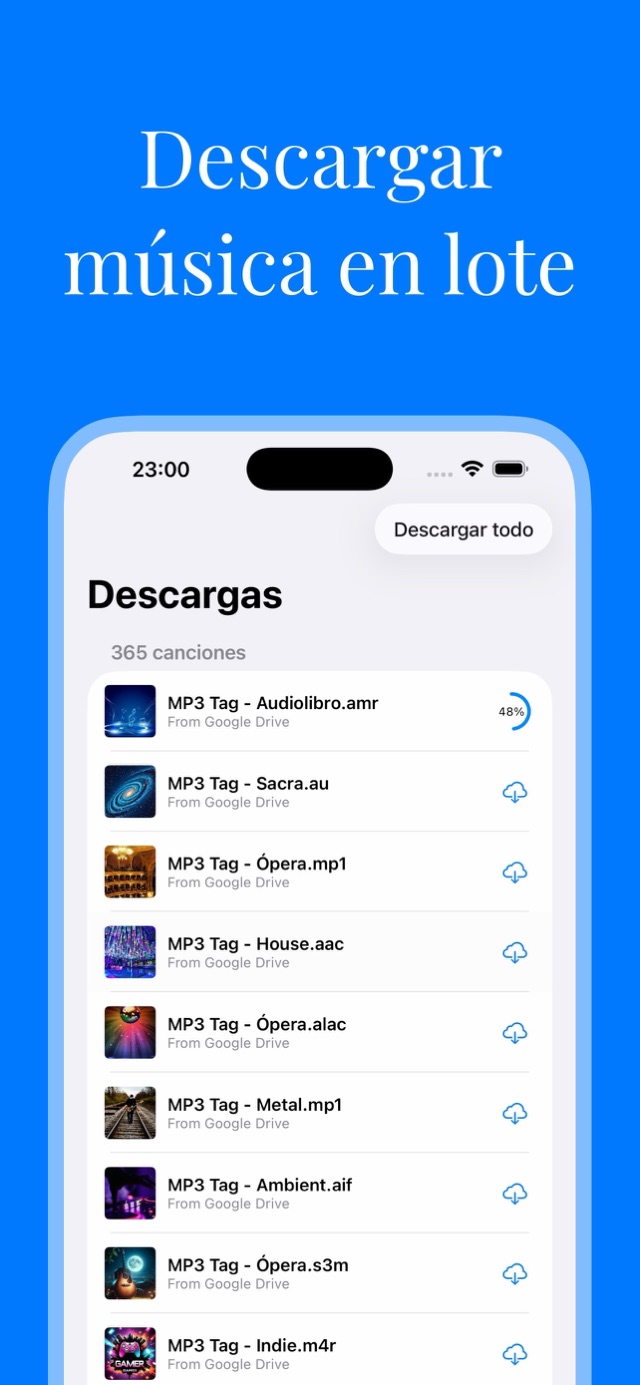 Captura de la aplicación 9