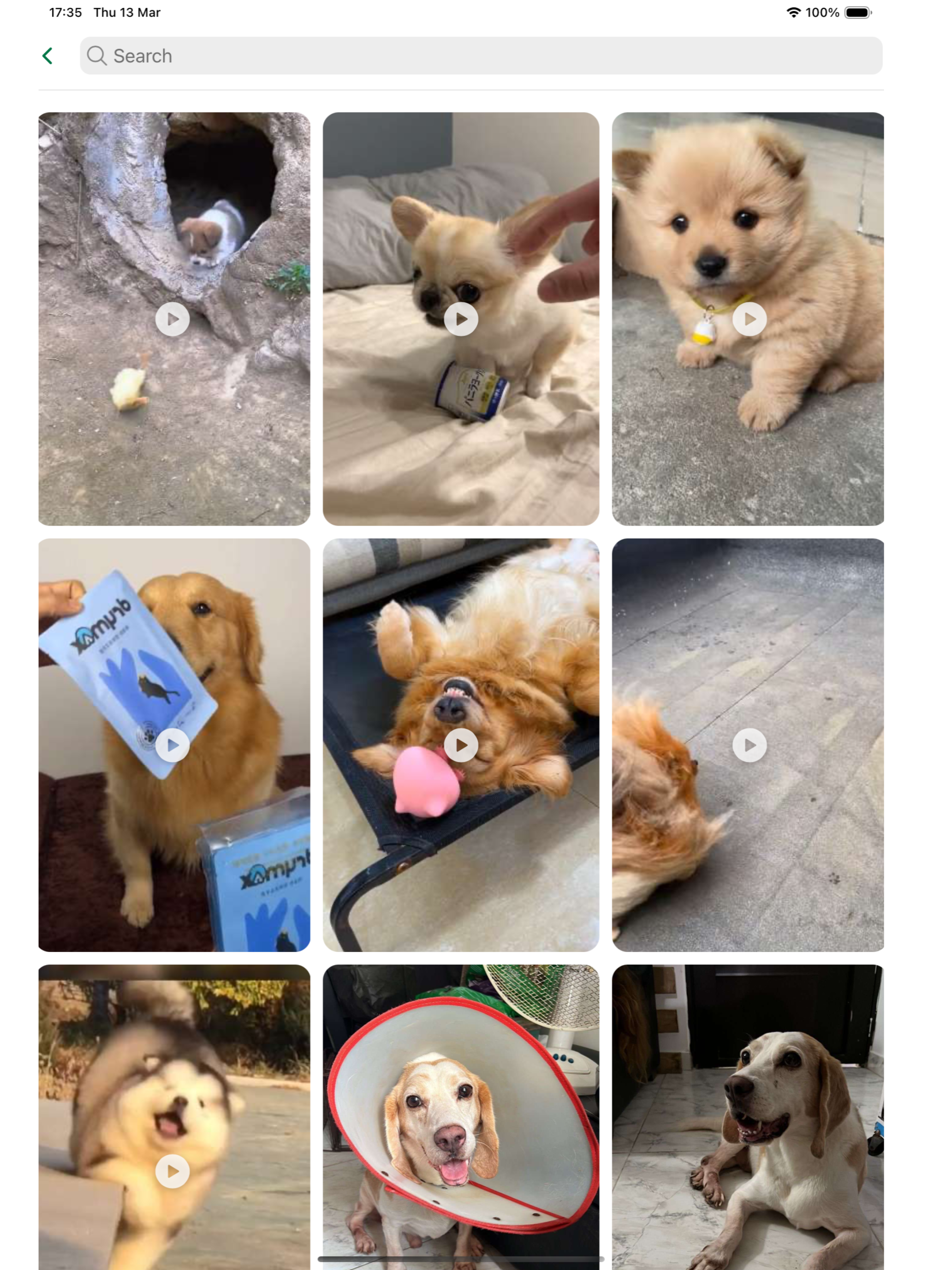 Pet+