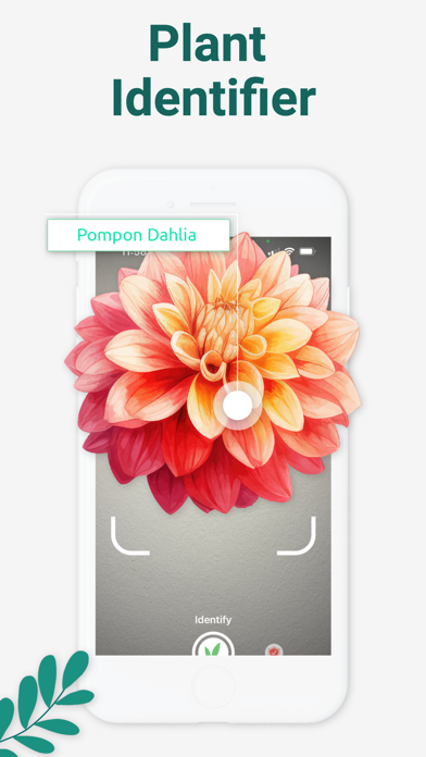 Plant & Flowers Identification Screenshot