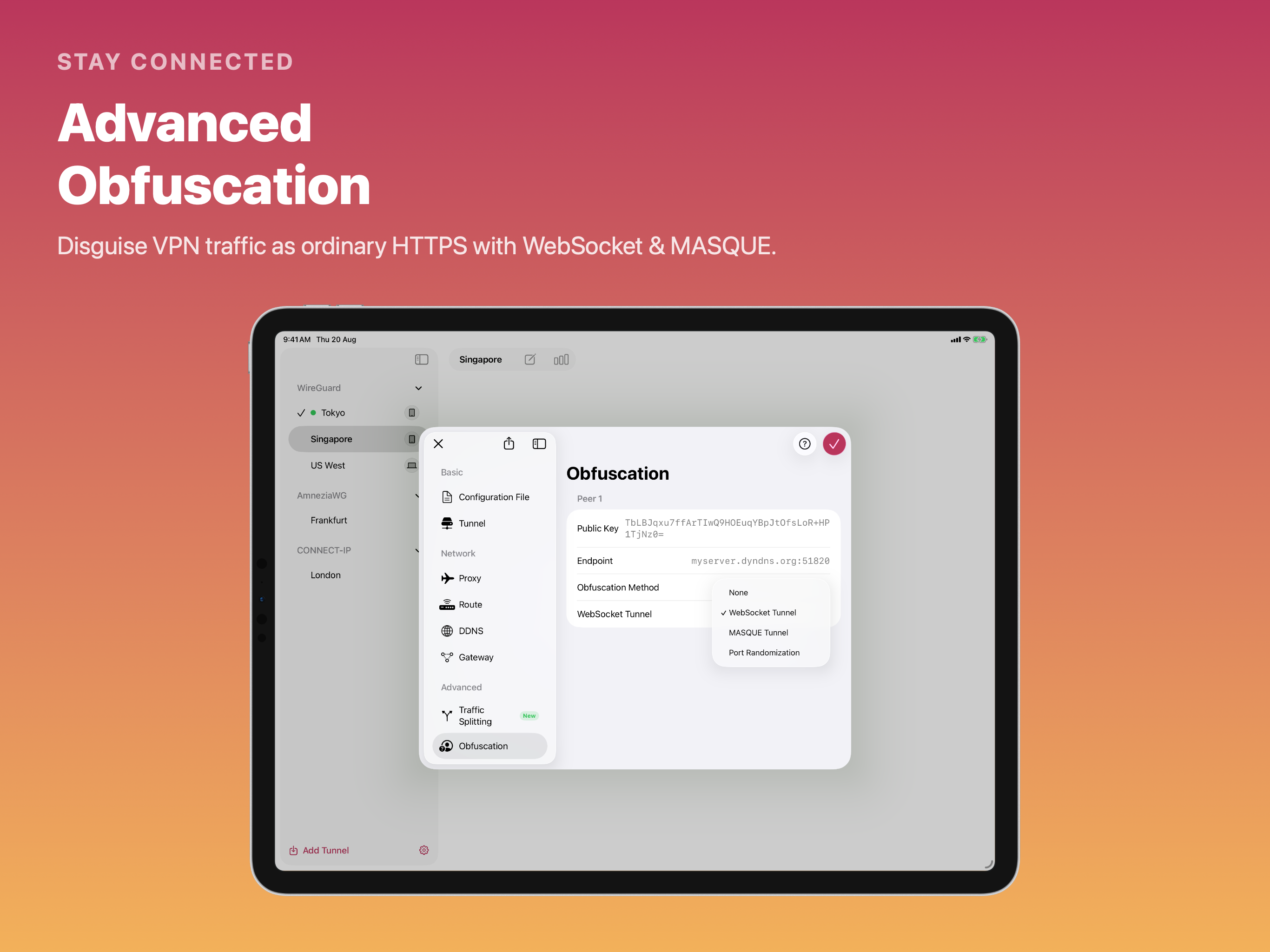 Xlarva - WireGuard VPN Client screenshot 13