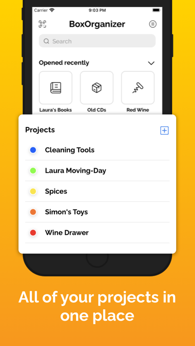 BoxOrganizer - Inventory Screenshot