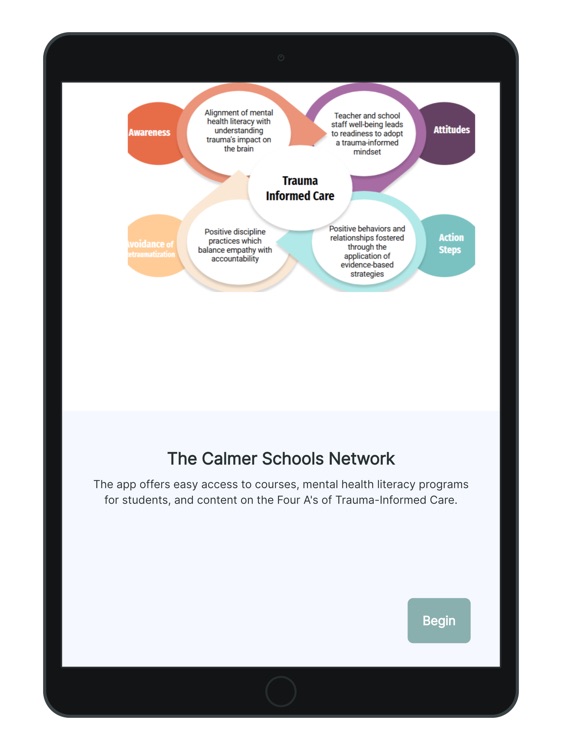 The Calmer Schools Network