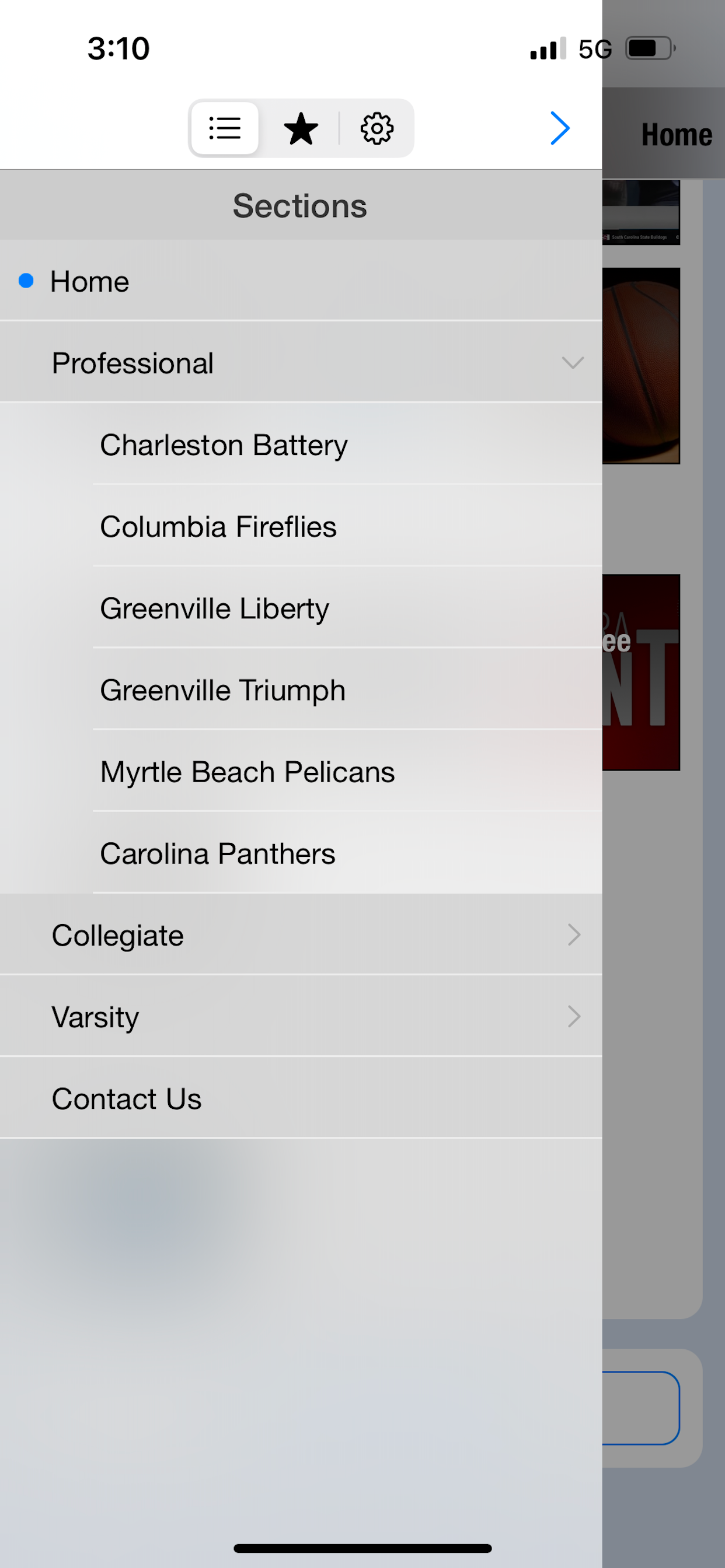Palmetto Sports