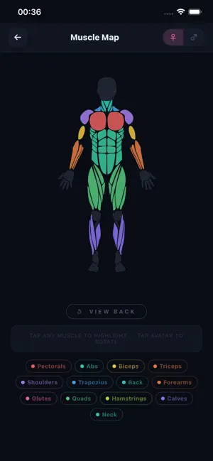 GymBelt screenshot 2