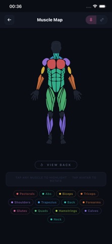 GymBelt Screenshot 2 of 7