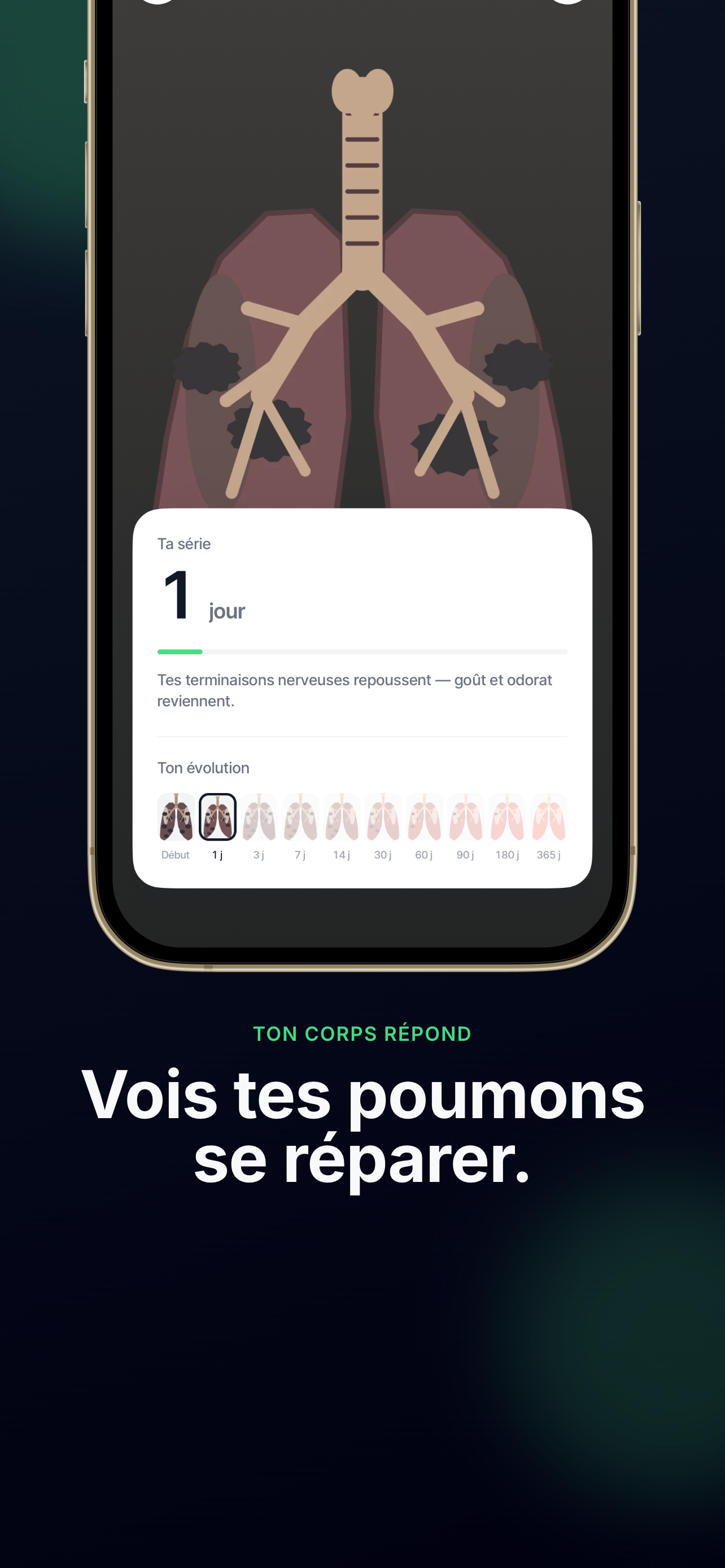 Ash : Arrêter de Fumer screenshot 5