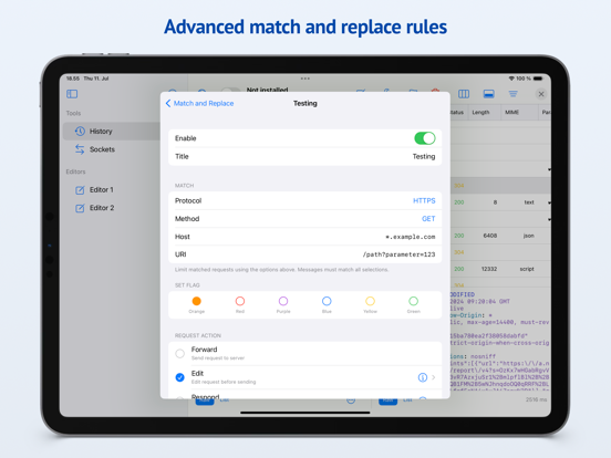 Proxygen iPad screenshot 4 - Developer Tools app