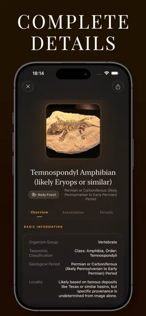 Fossil Scanner screenshot 2